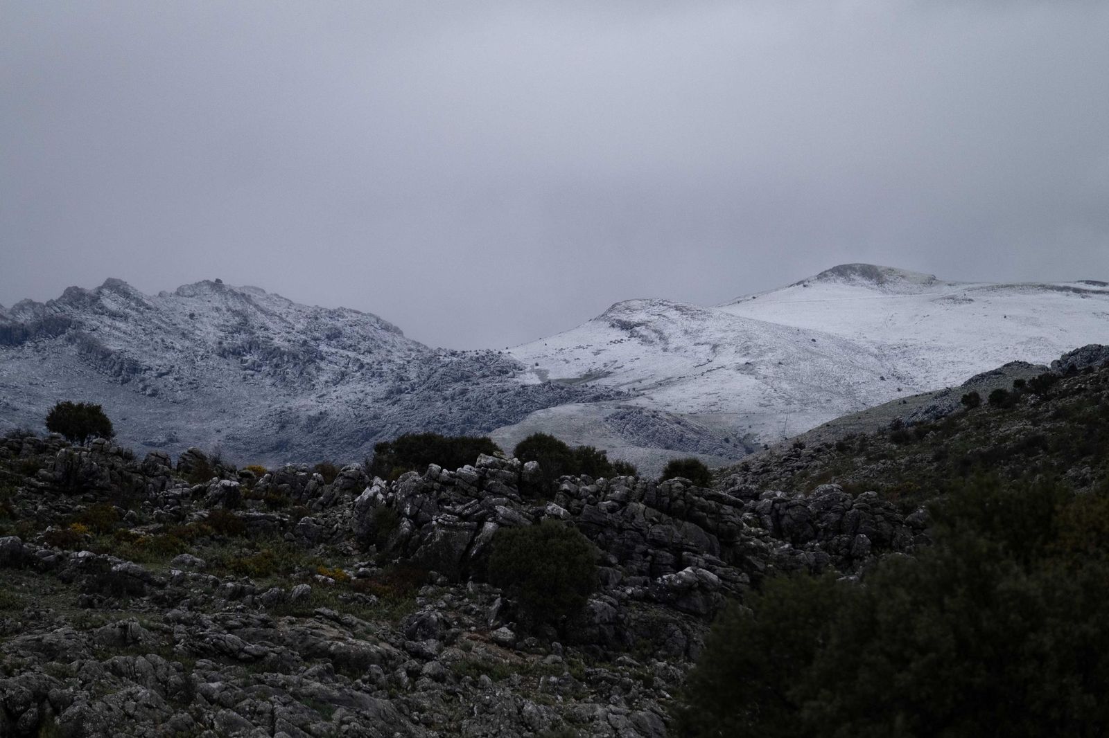 El Parque Nacional Sierra de las Nieves se viste de blanco, en imágenes