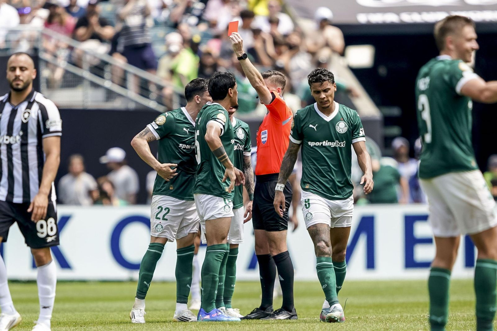 Palmeiras-Botafogo (38).jpg