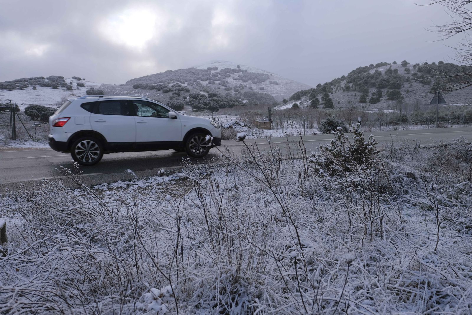 Nevada en la Serranía de Ronda, en fotos.