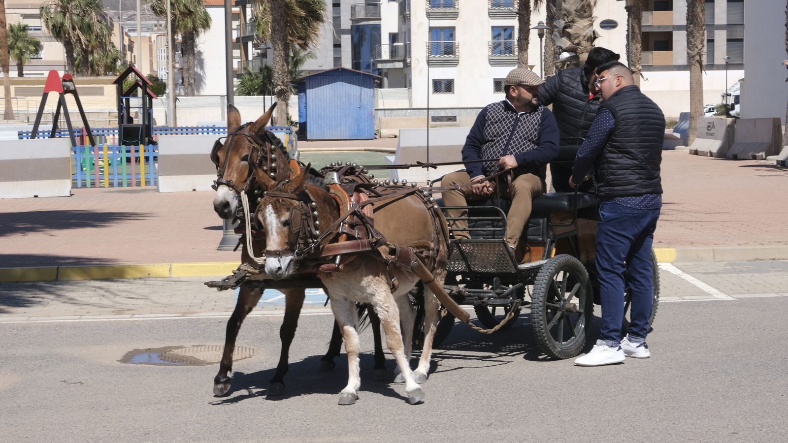 Fotogalería de las Fiestas de San Marcos en Adra.
