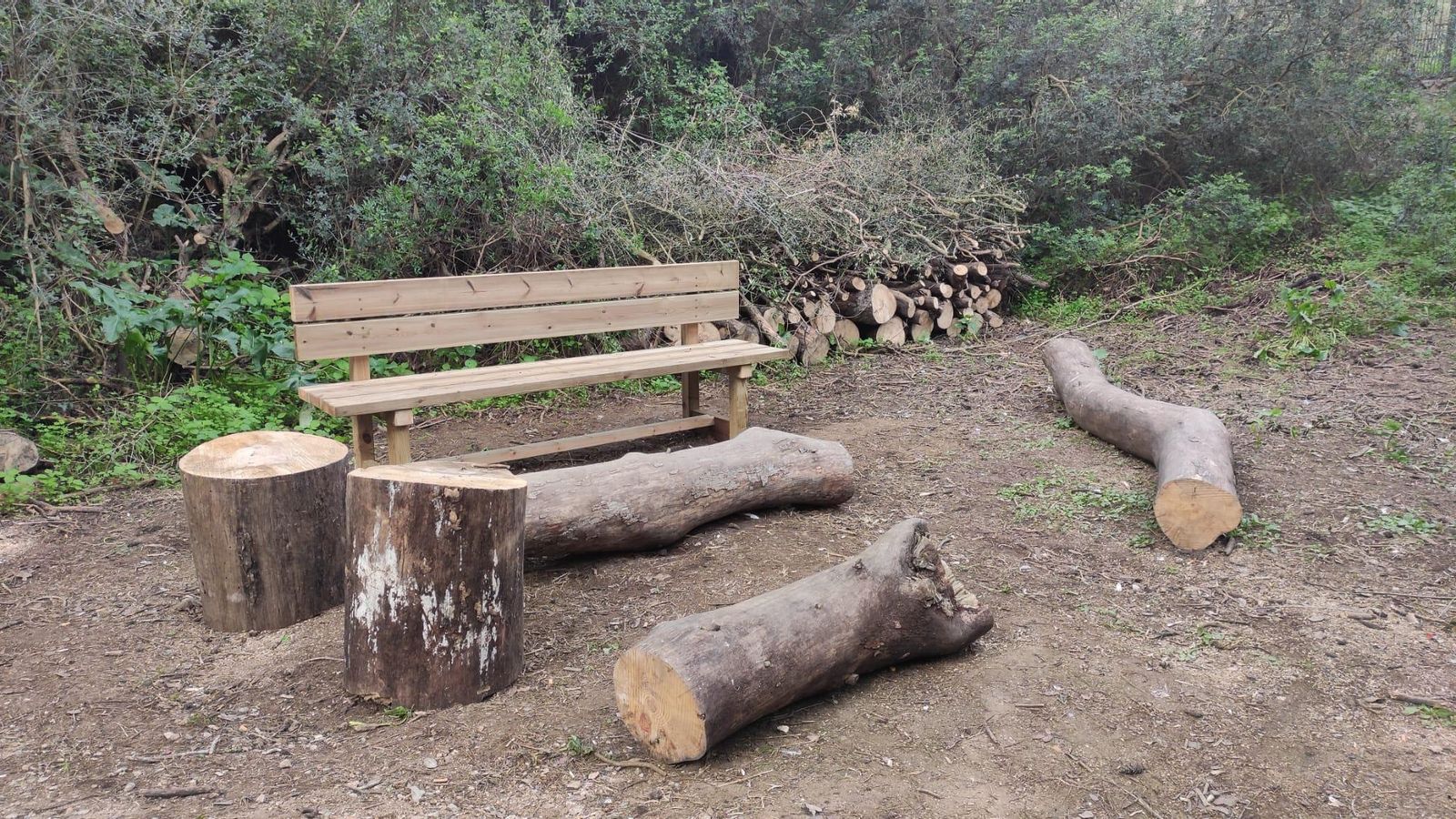 Nuevos espacios de esparcimiento en el Pinar