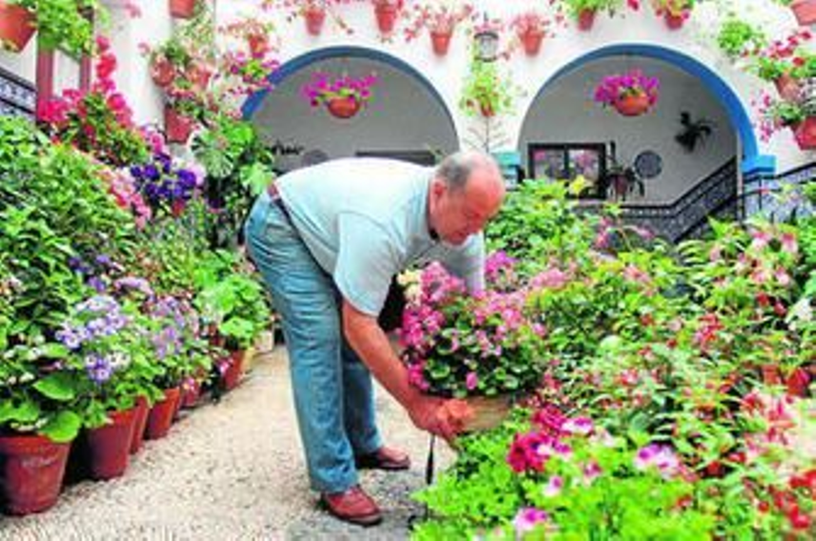 Marcial Gómez prepara las macetas en su patio, el de Pedro Fernández, 6, en la zona Regina-Realejo.