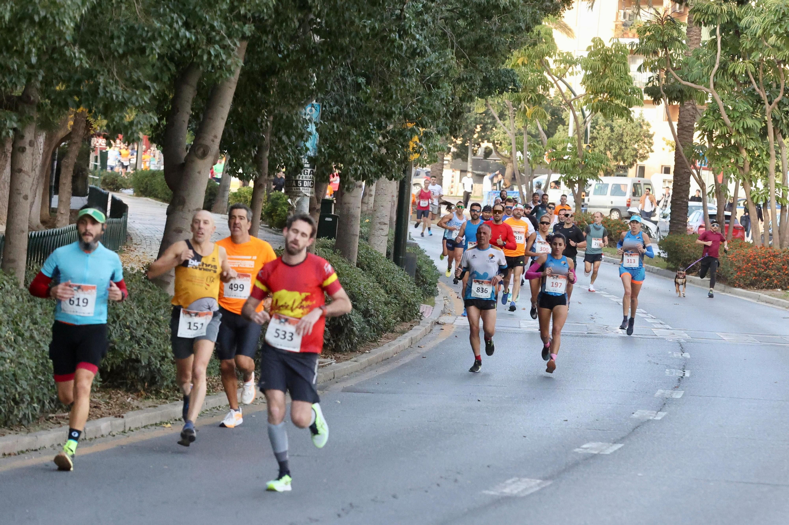 San Silvestre Palma-Palmilla 2023: Búscate en las fotos de la carrera