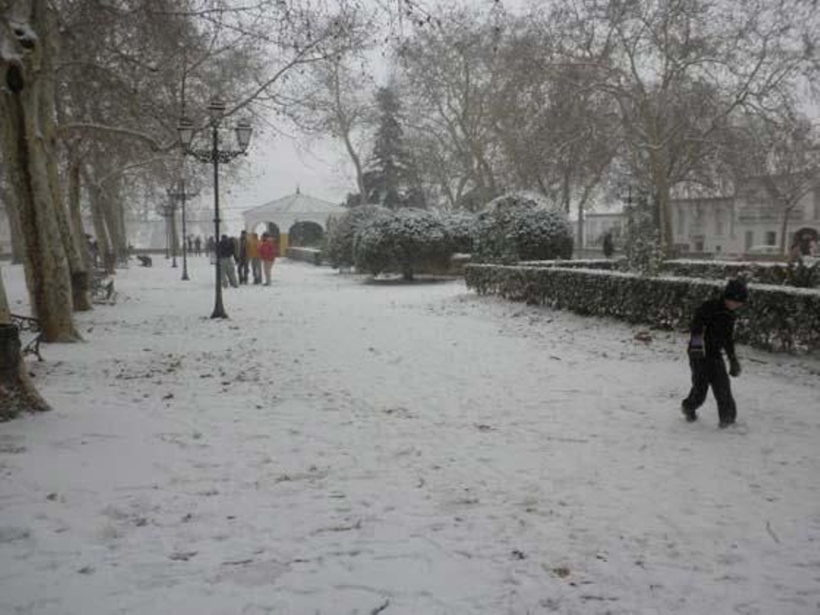 Nieve en Guadalcanal.

Foto: Francisco Javier Ortiz