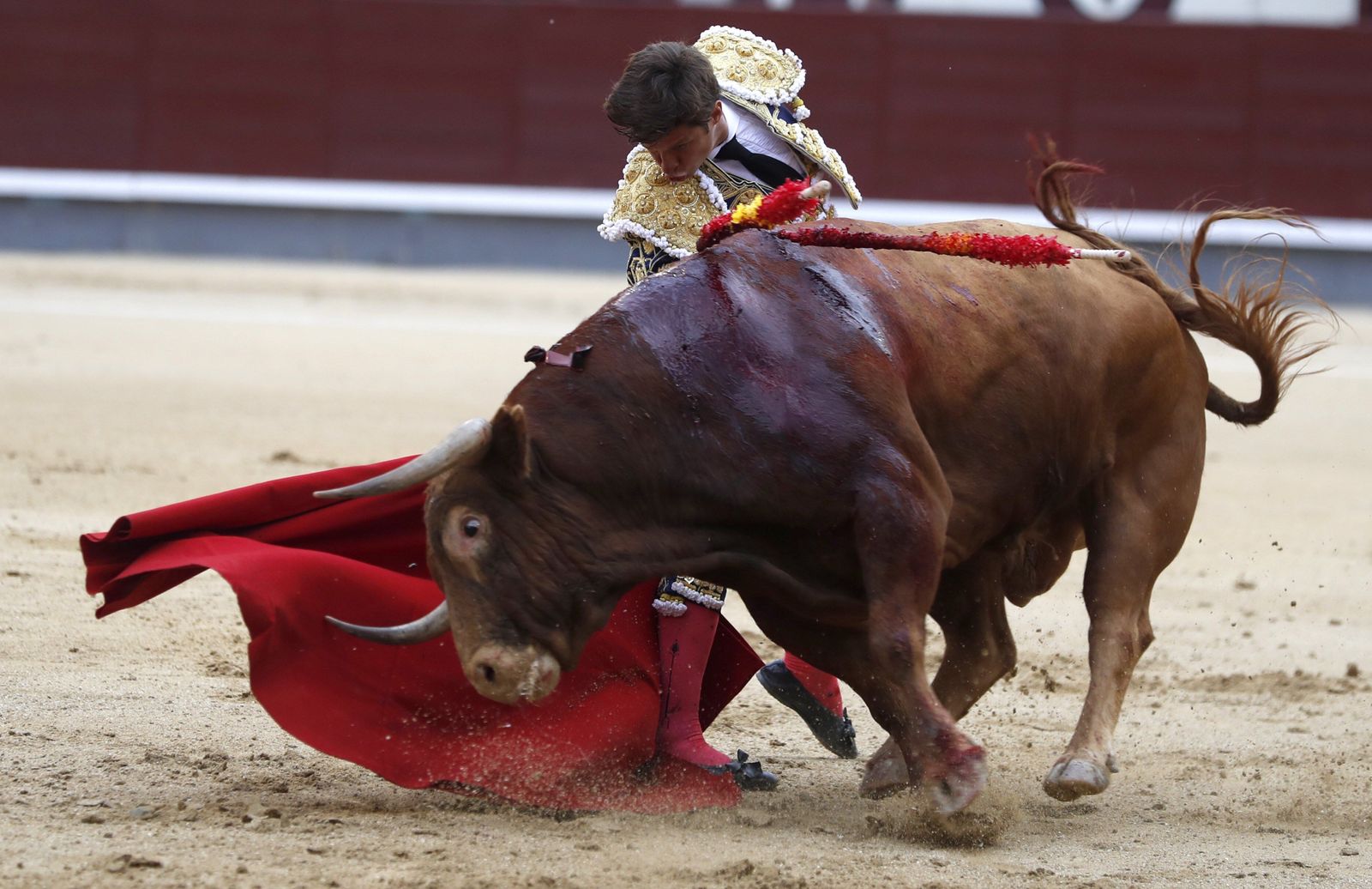 El Juli, en un derechazo al toro 'Licenciado', de Alcurrucén, ayer en Las Ventas.