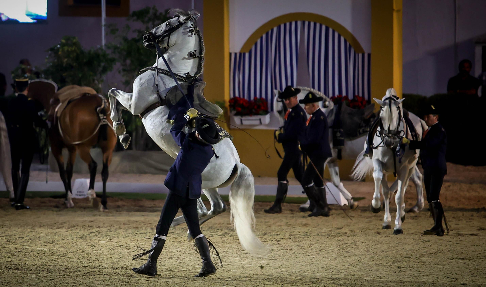 Gran éxito de la Gala de las V Escuelas en Jerez
