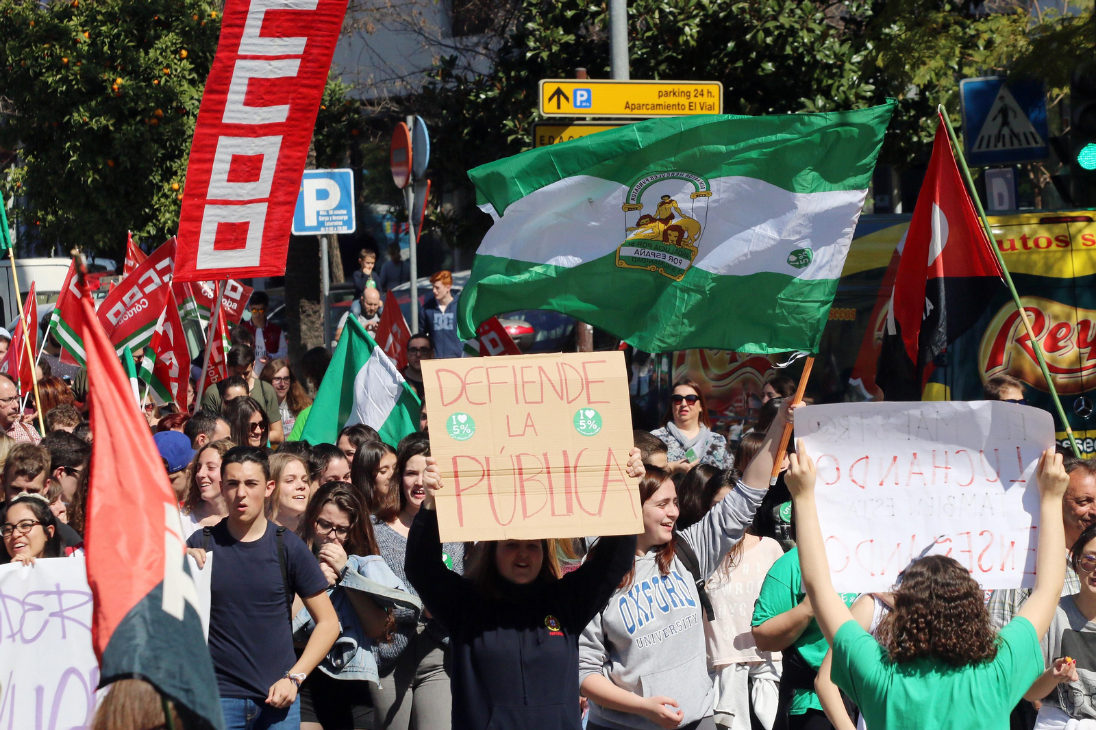 La manifestación contra la Lomce, en imágenes
