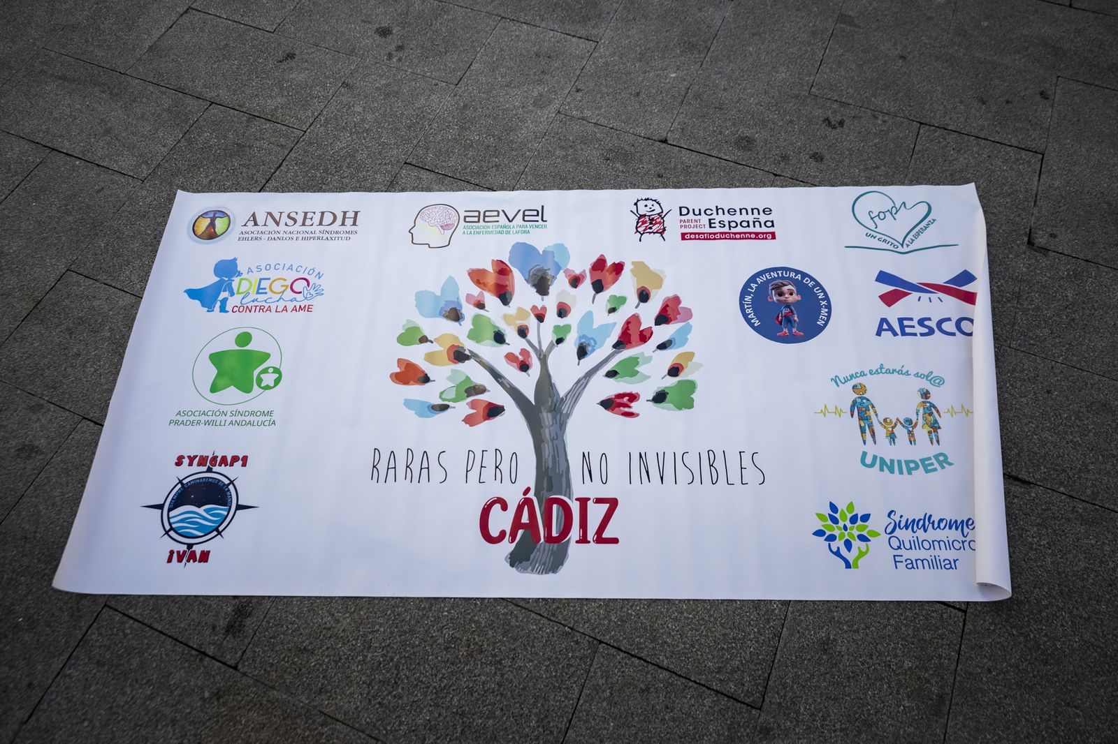 Imágenes de la marcha solidaria de las asociaciones de enfermedades raras en Jerez