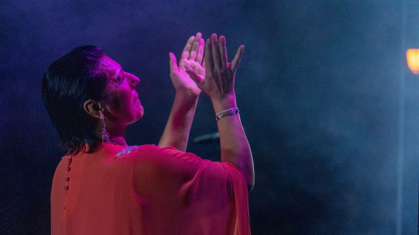 Noche flamenca en Algeciras