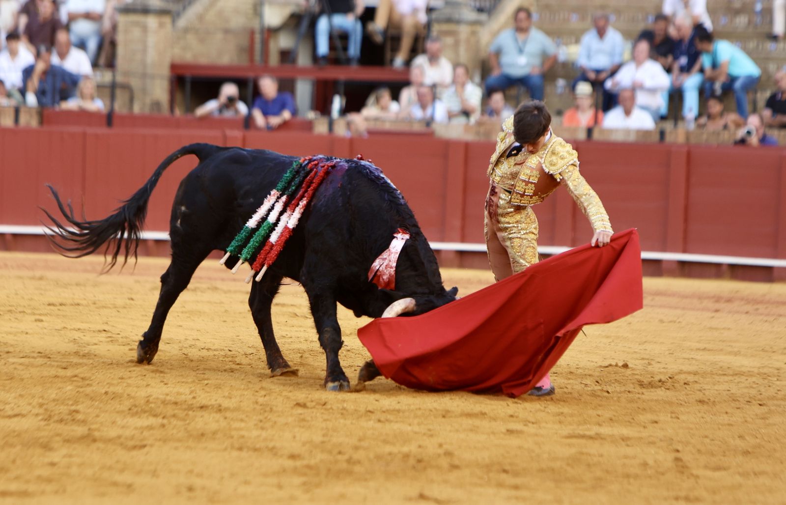 Novillada El Melli, Aarón Palacios y Manuel Jesús  Carrión