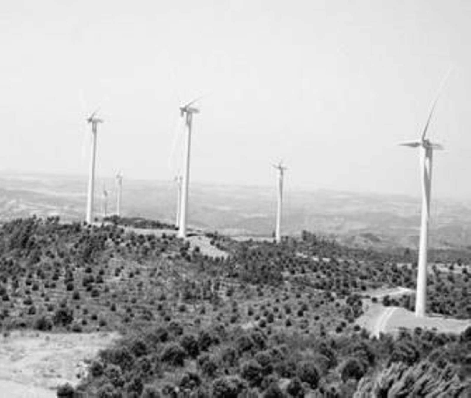 Parque eólico de 'El Sardón', en el término municipal de El Granado.