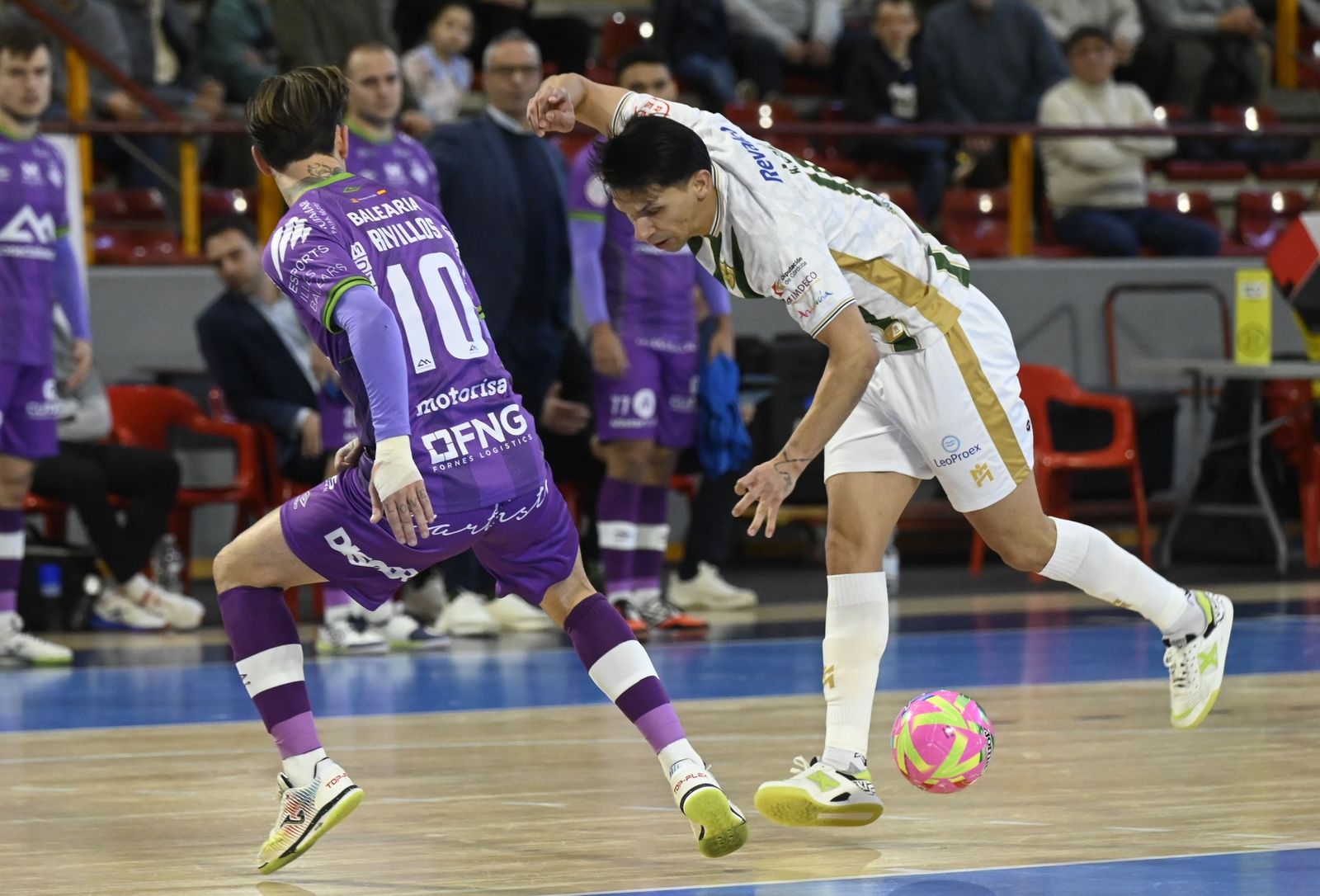 Las mejores fotos del ambiente en Vista Alegre para el Córdoba Patrimonio - Palma Futsal