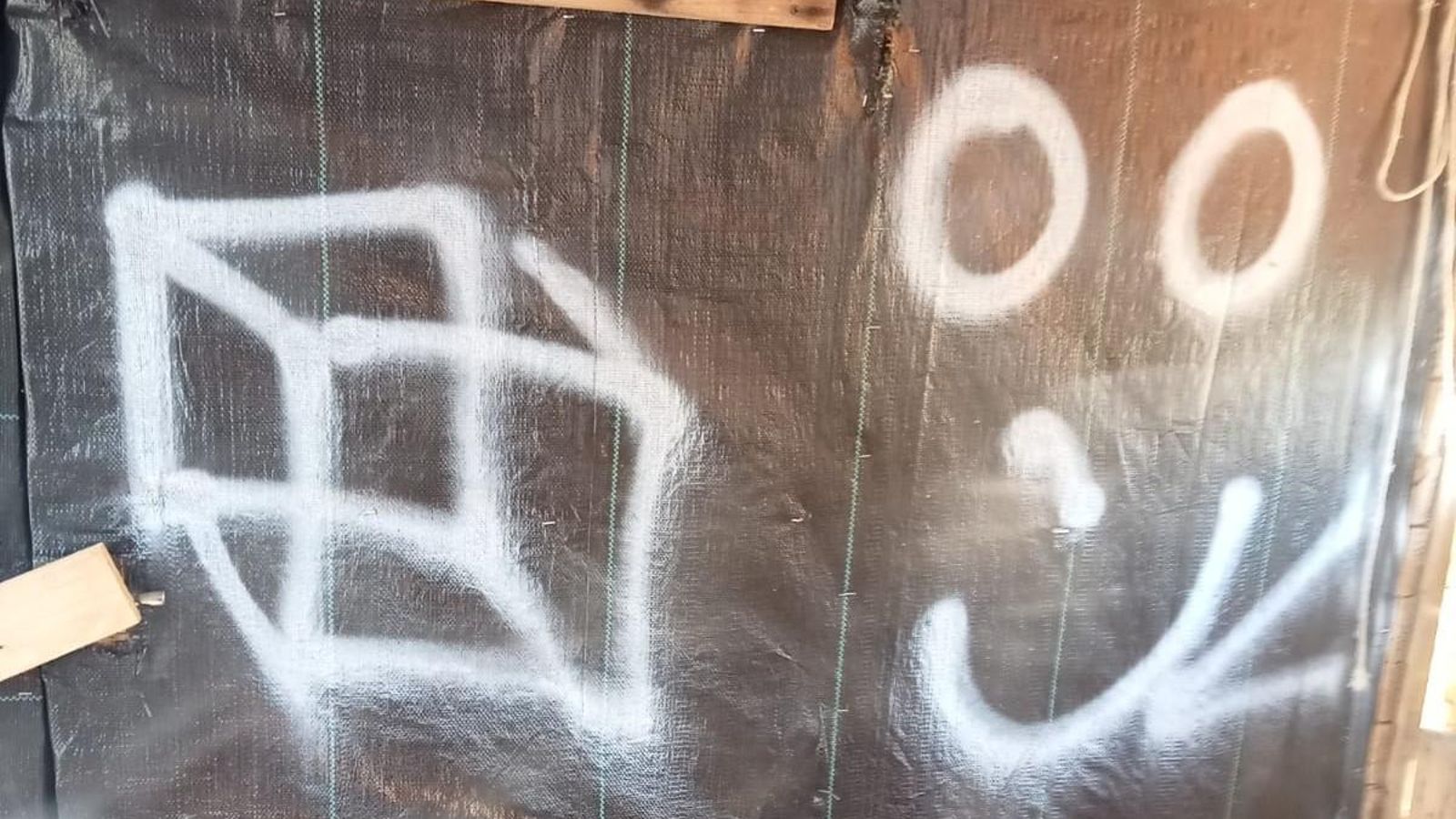 Una de las pintadas de una parcela. Una de las pintadas de una parcela.