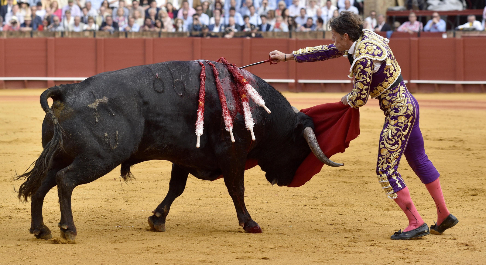 Las imágenes de la 14ª de abono de la Maestranza