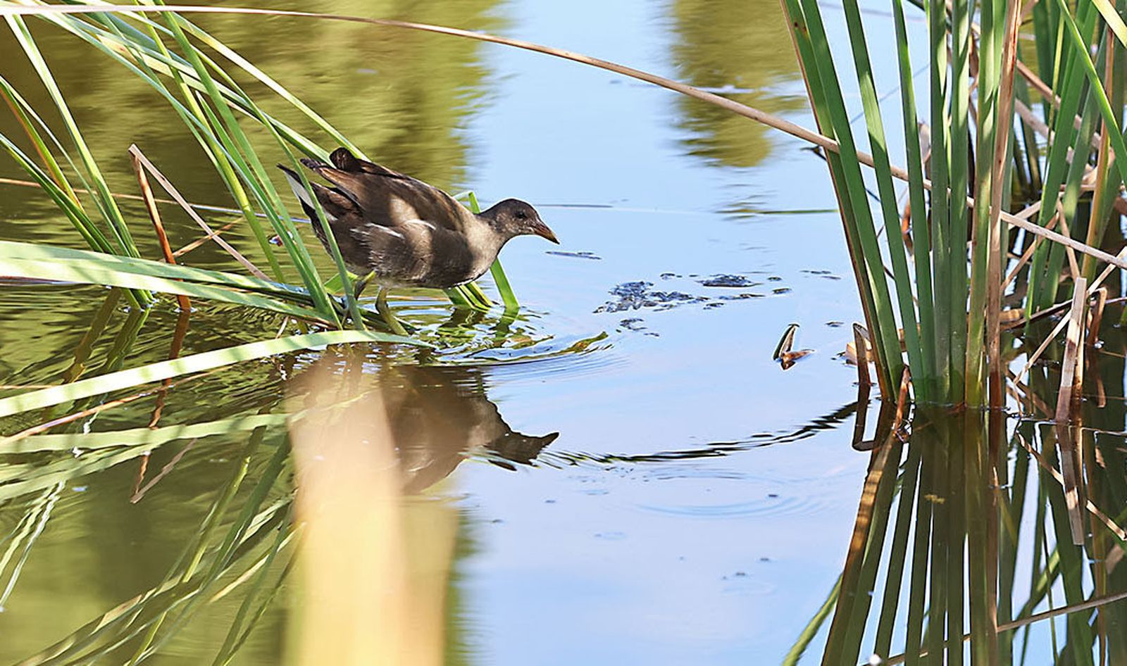Las imágenes más destacadas del martes 21 de mayo en Huelva