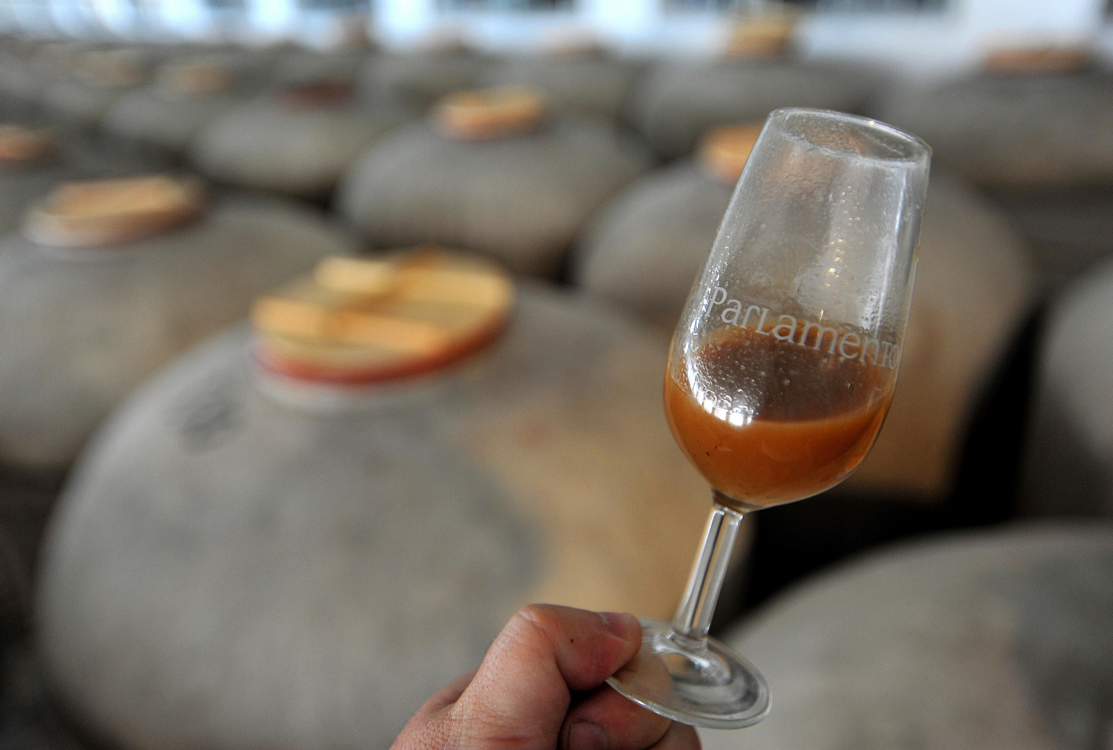 Así se elabora el vino Pedro Ximénez