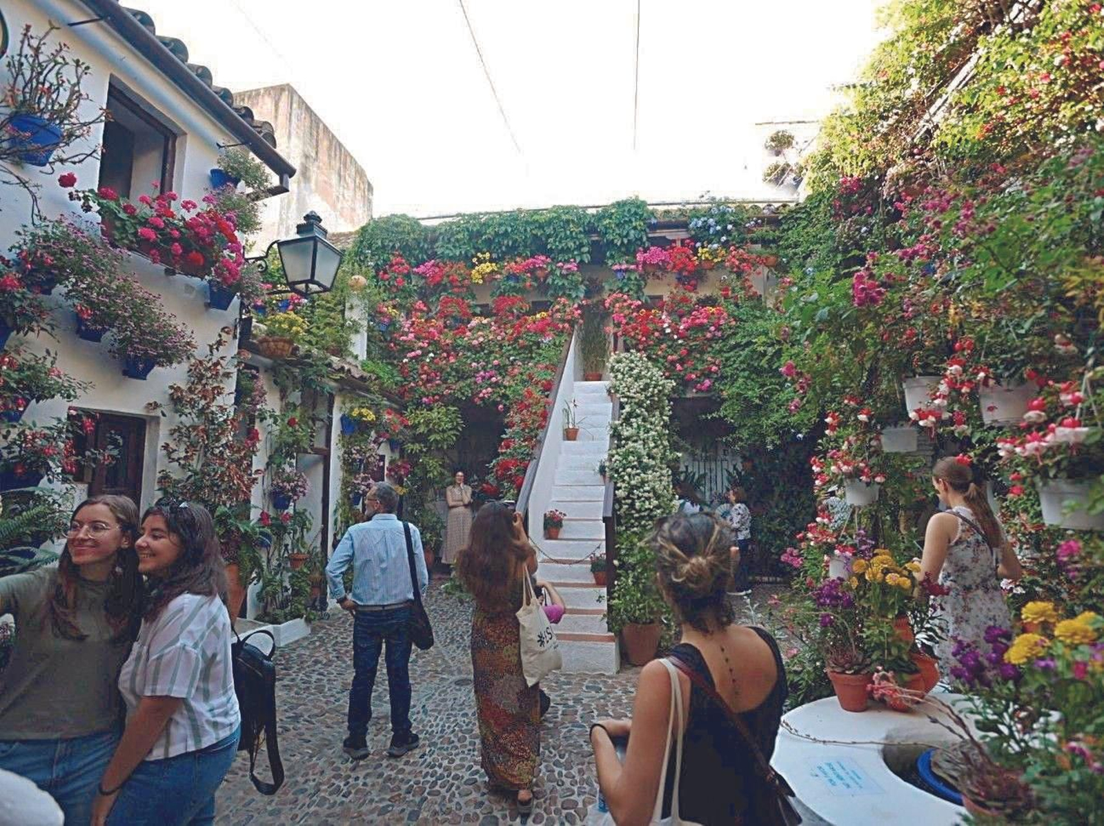 Guía de los Patios: San Basilio, 44