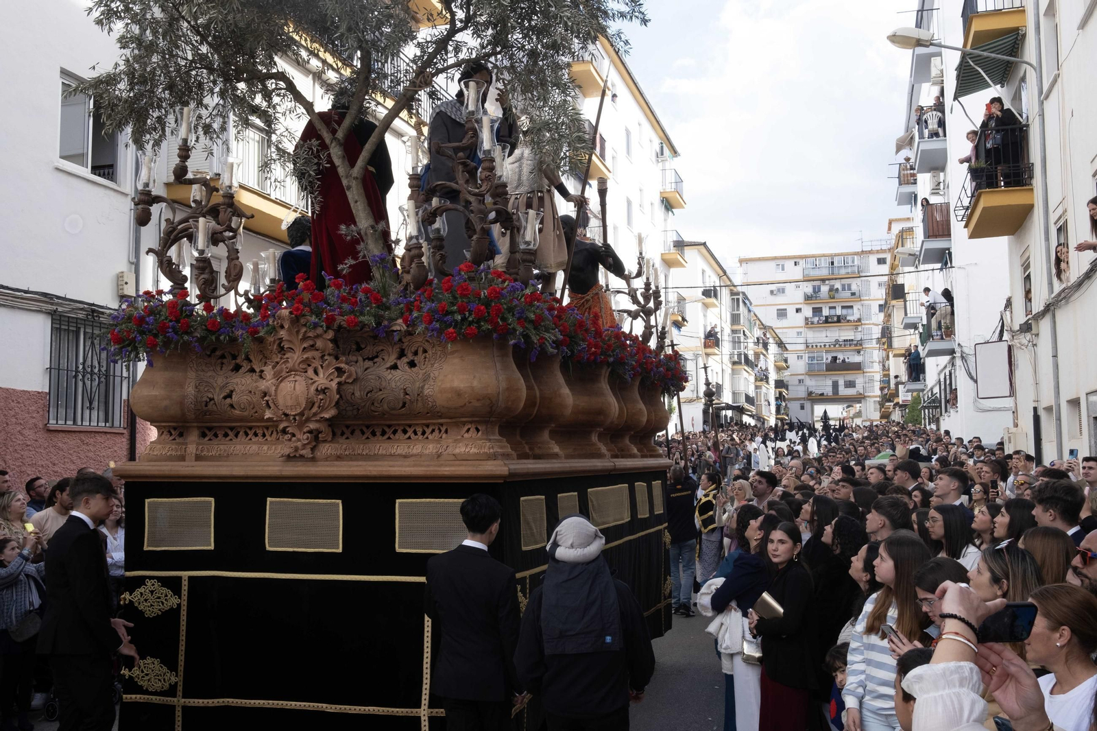 Domingo de Ramos en Ronda, en imágenes