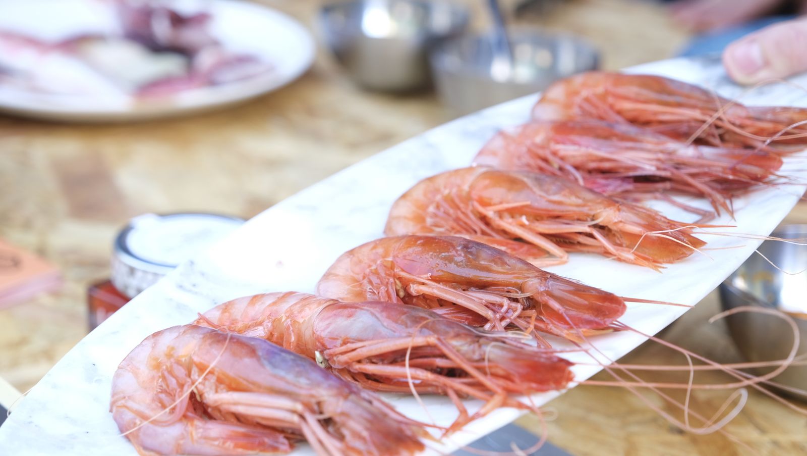 Imágenes del encuentro de gastronomía de la Feria de Almería 2023