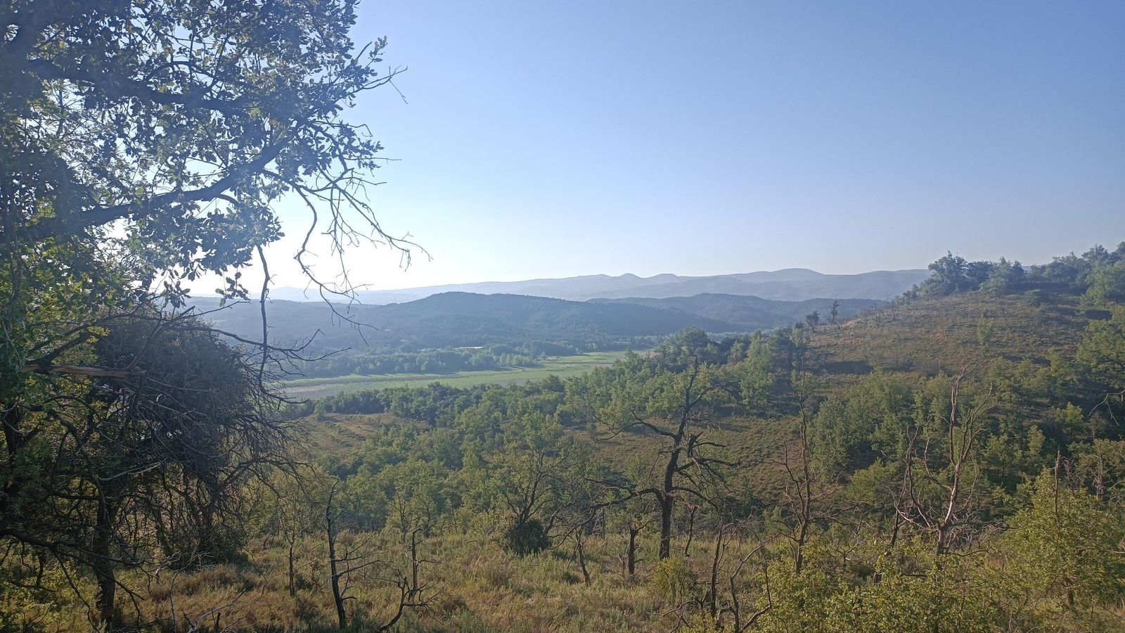 Vistas desde la Colada Torrelón.
