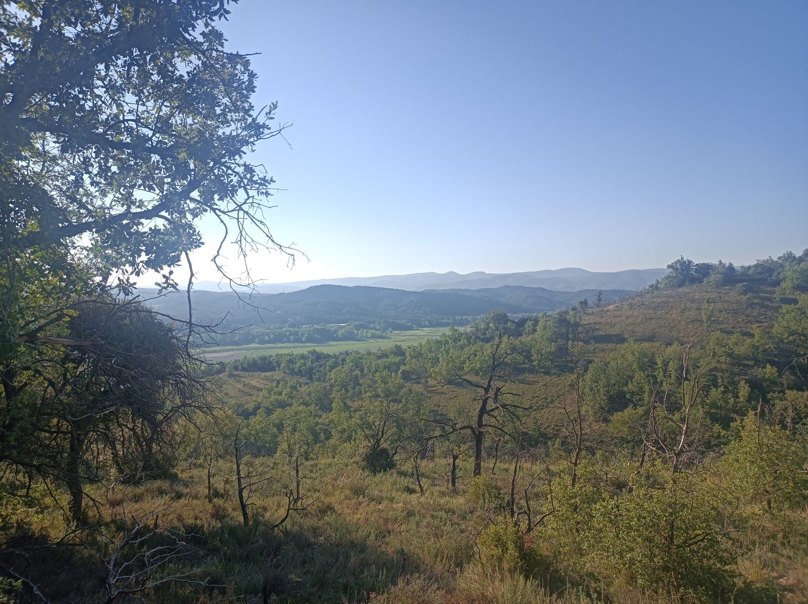 Vistas desde la Colada Torrelón.