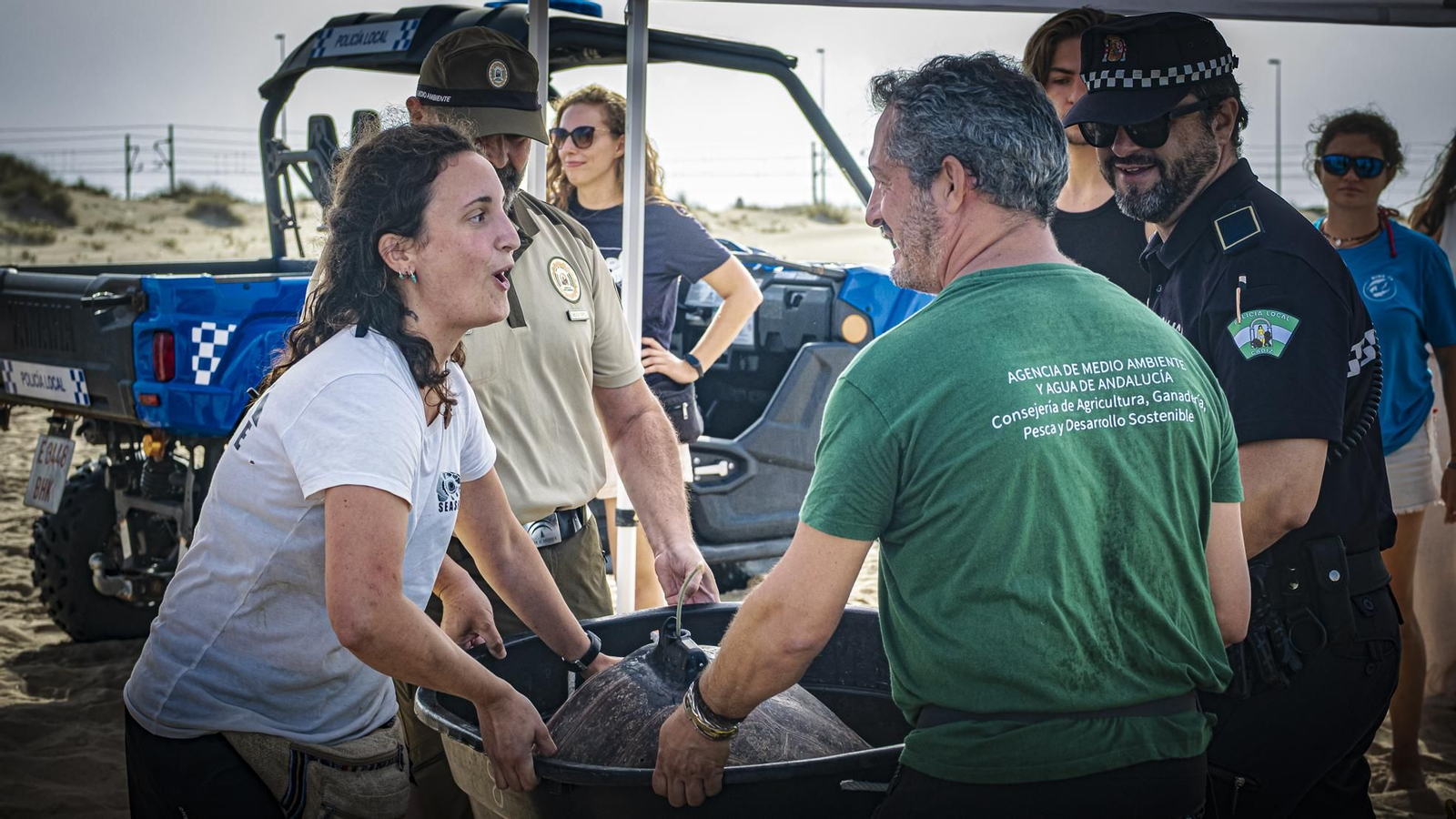 Las imágenes de la vuelta al mar de tres tortugas marinas en la playa de Cortadura, en Cádiz.