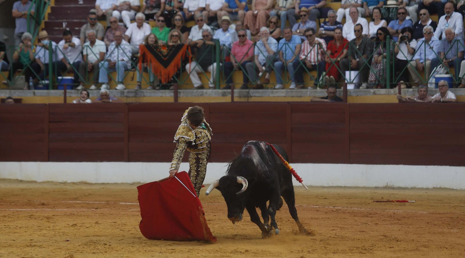 Fotos del triunfo de Manuel Roman y Javier Zulueta con la buena novillada de Núñez de Tarifa que abrió la Feria de La Línea