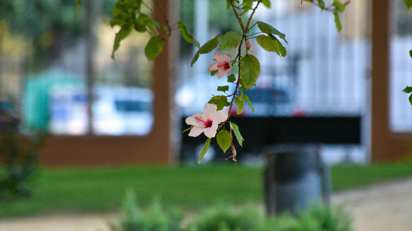 Las fotos de los Jardines Socco en La Línea
