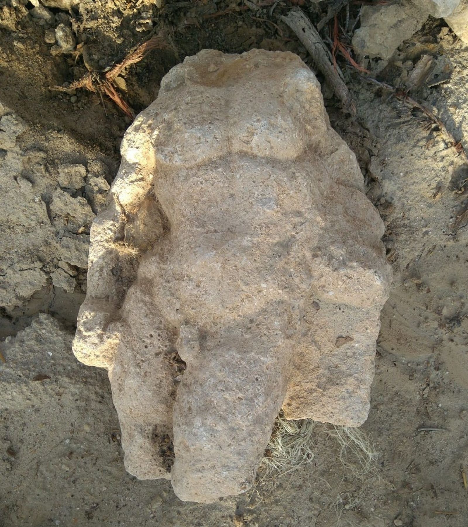 Imagen de la estatuilla encontrada en el yacimiento.