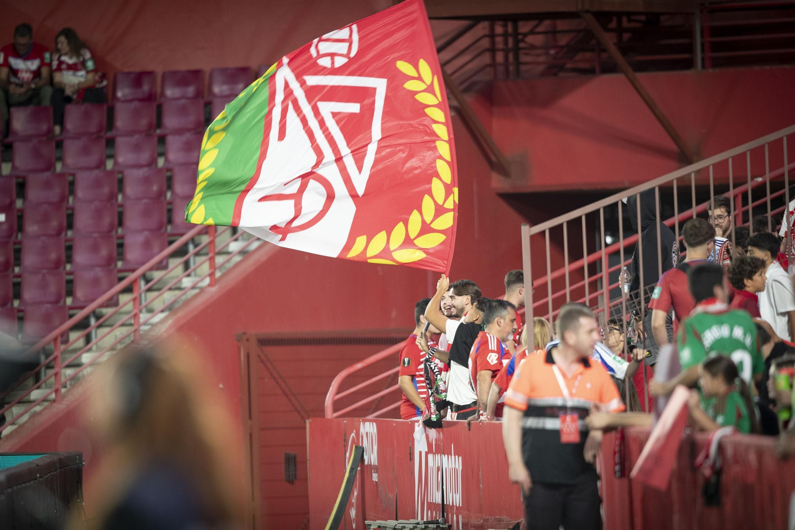 Un aficionado hace ondear su bandera en el Nuevo Los Cármenes