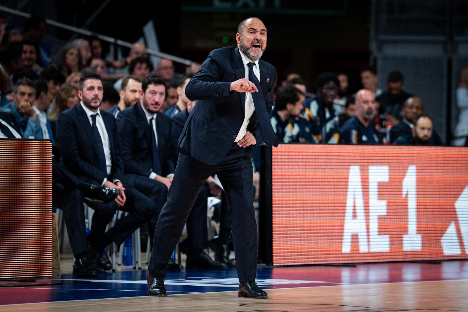 Mateo, la pasada temporada