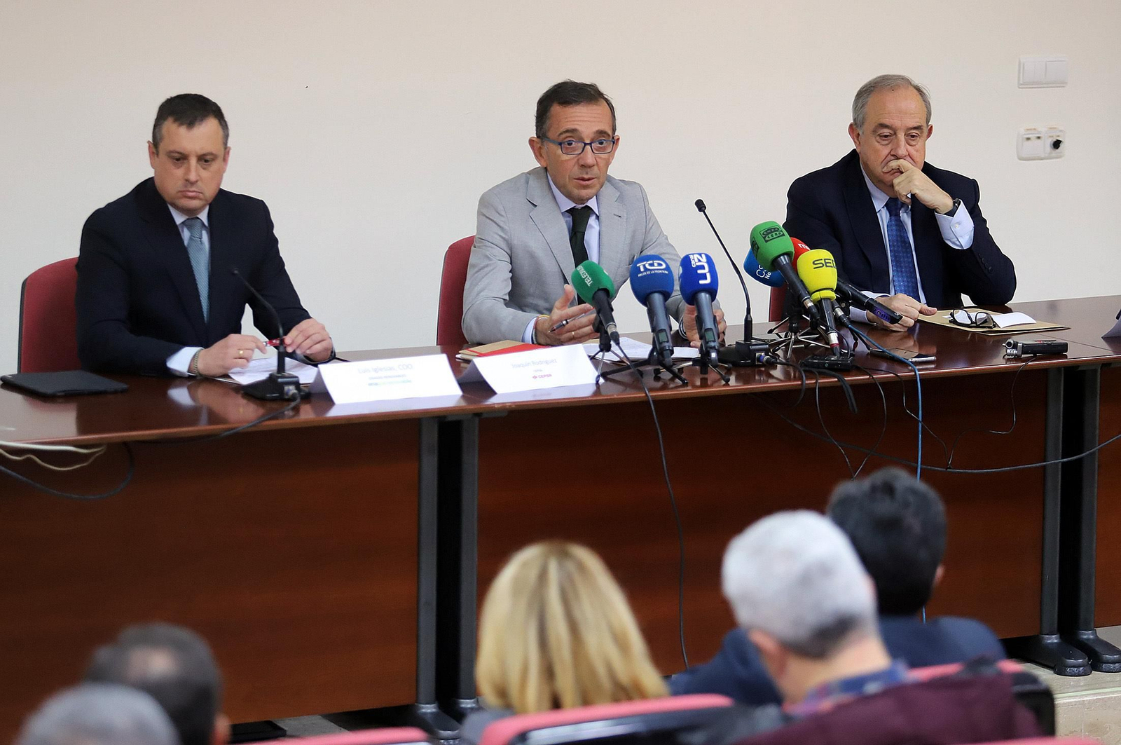 Imágenes del convenio entre Cepsa, Enagás Renovable y Alter Enersun para impulsar la descarbonización de la industria local y el transporte