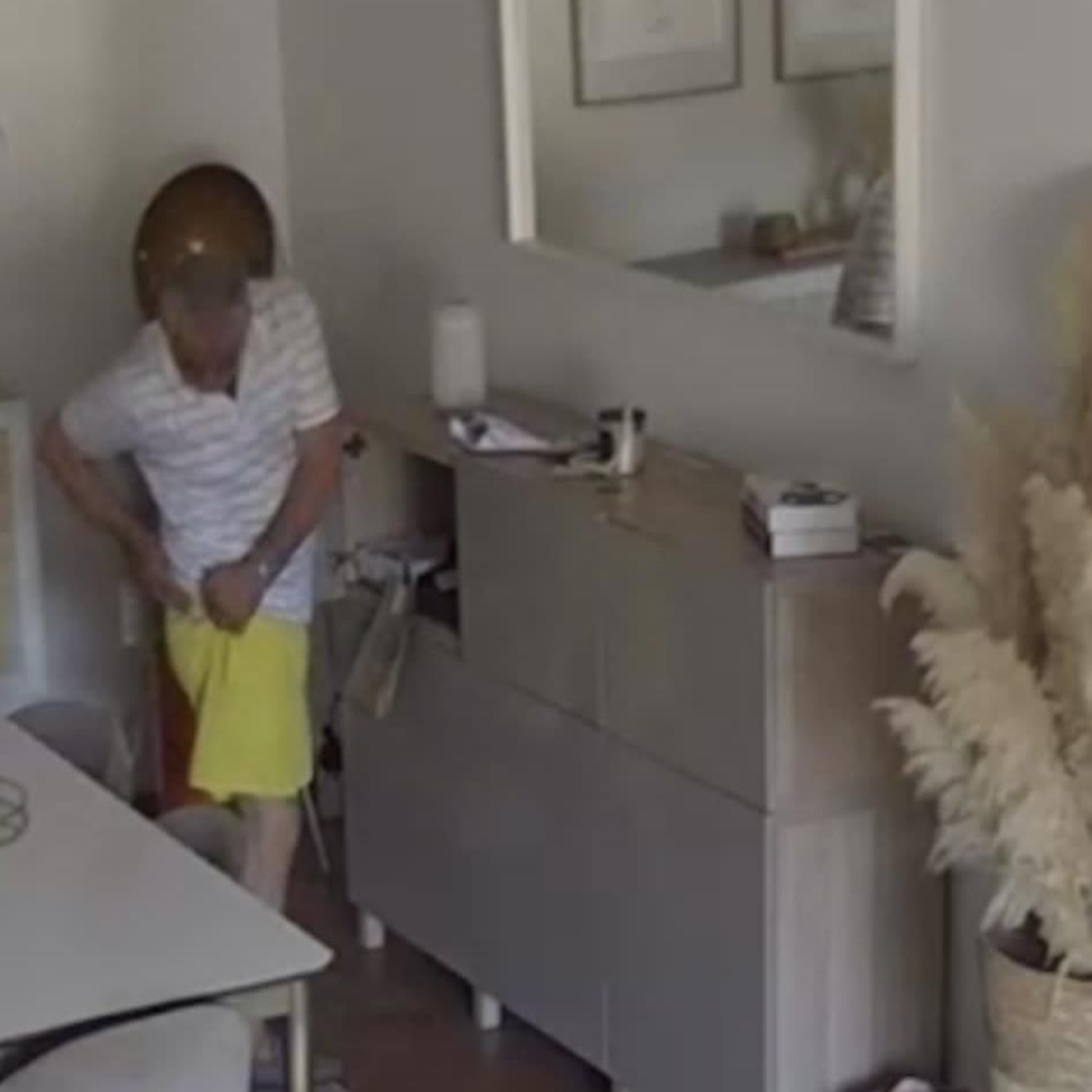 magen del supuesto delincuente captada por la cámara de seguridad de la vivienda.