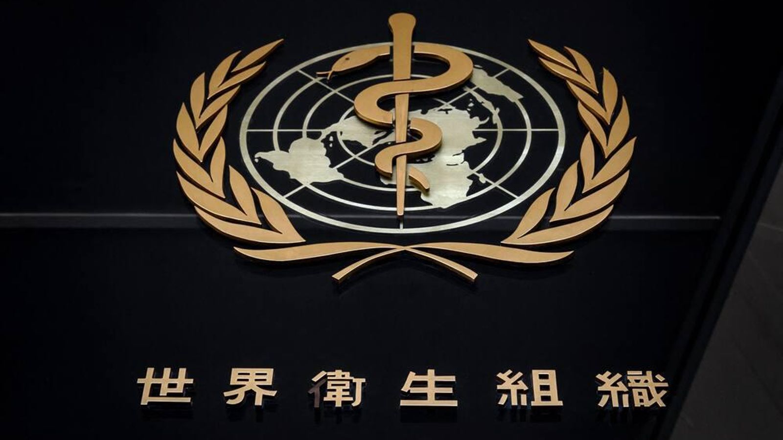 Sede de la Organización Mundial de la Salud en China.