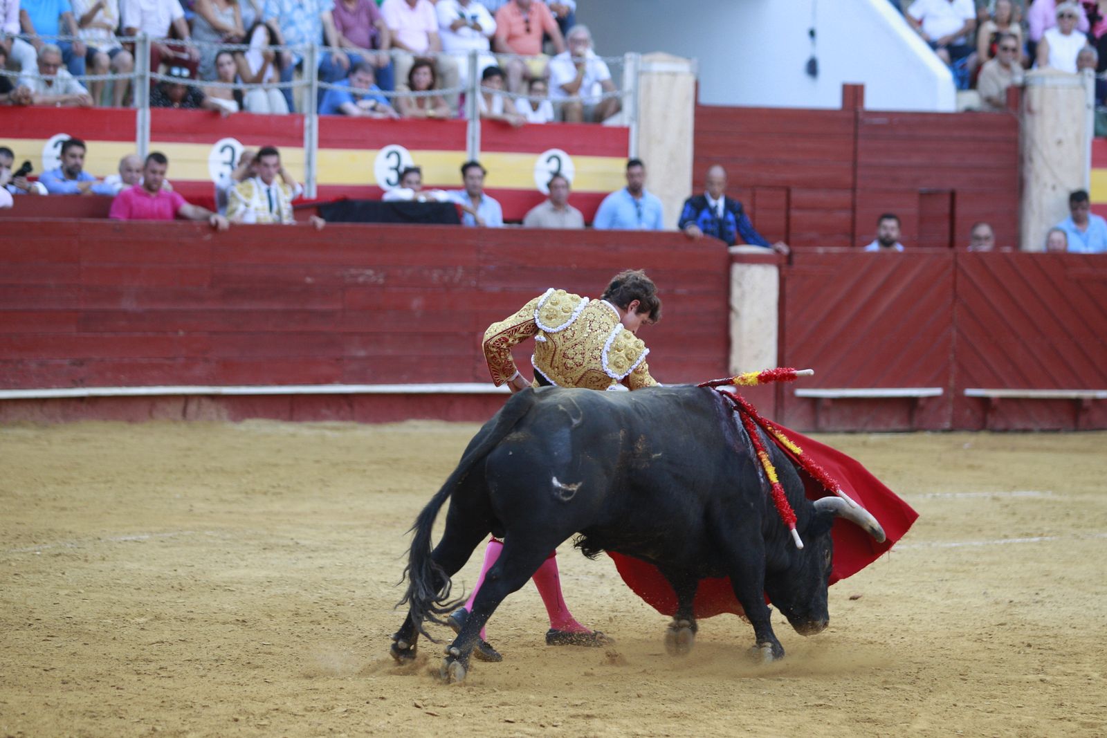 Imágenes de la corrida de toros del jueves en la Feria de Almería 2024