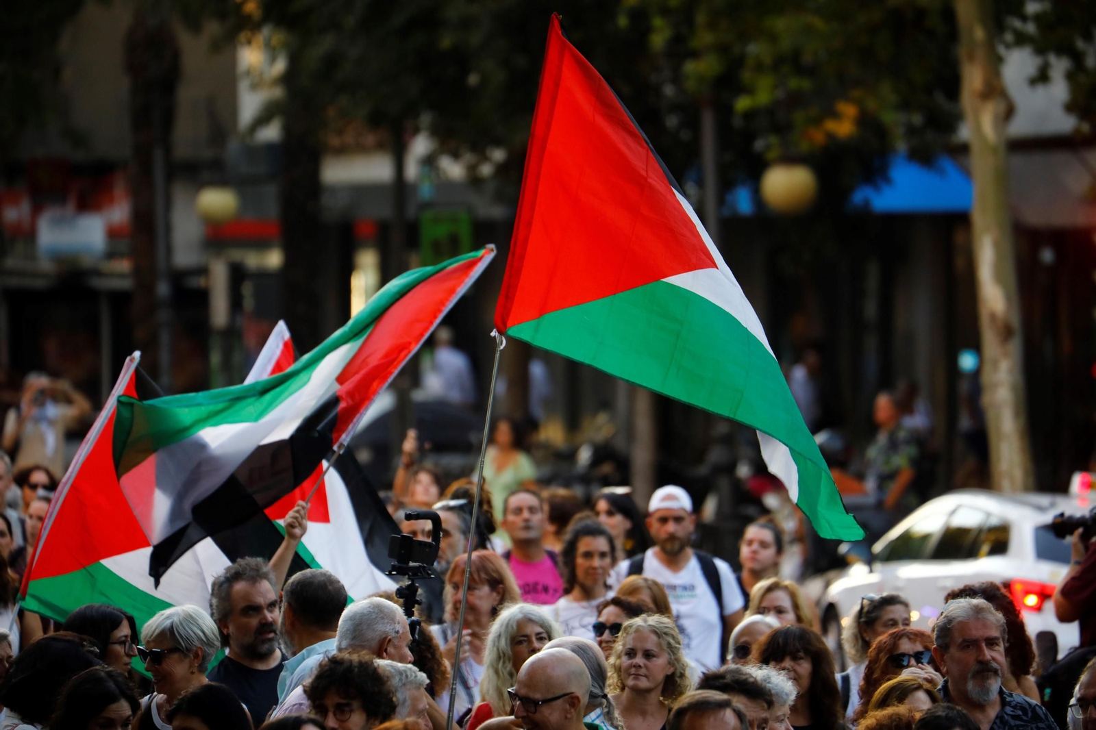 Las imágenes de la manifestación de Córdoba por Gaza