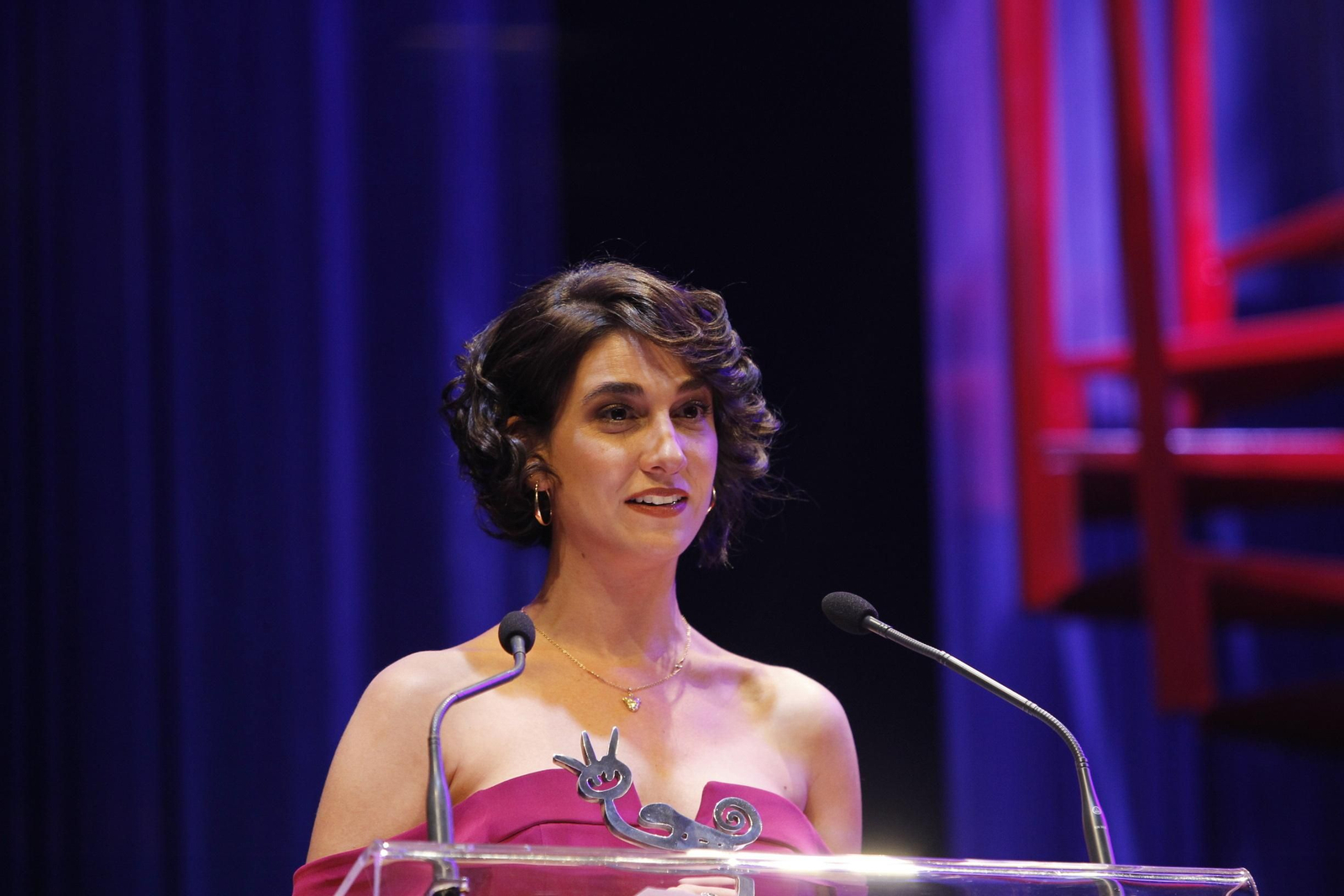 Fotogalería Gala Clausura FICAL 2019