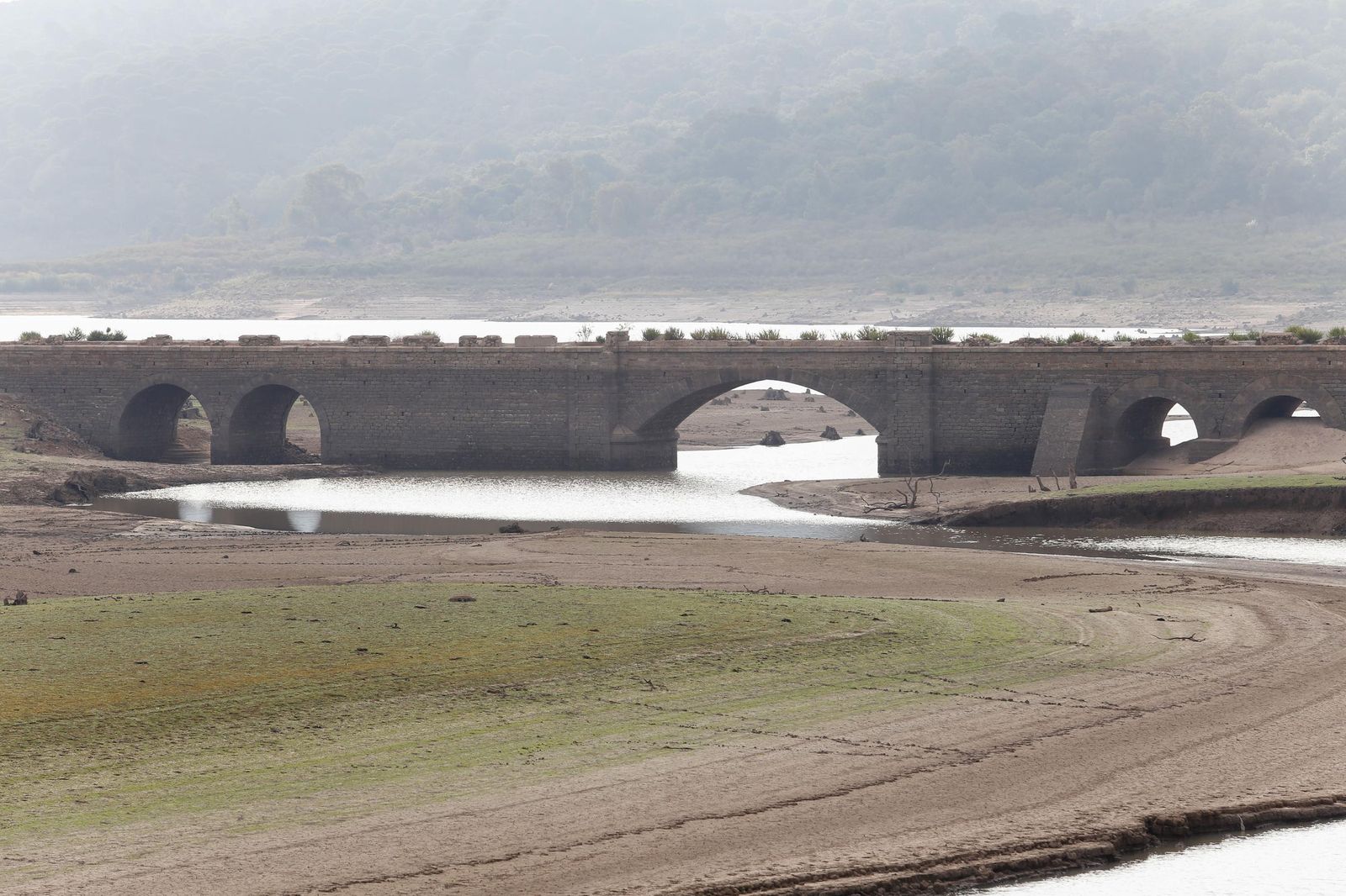 Fotos del estado del pantano de Charco Redondo en Los Barrios