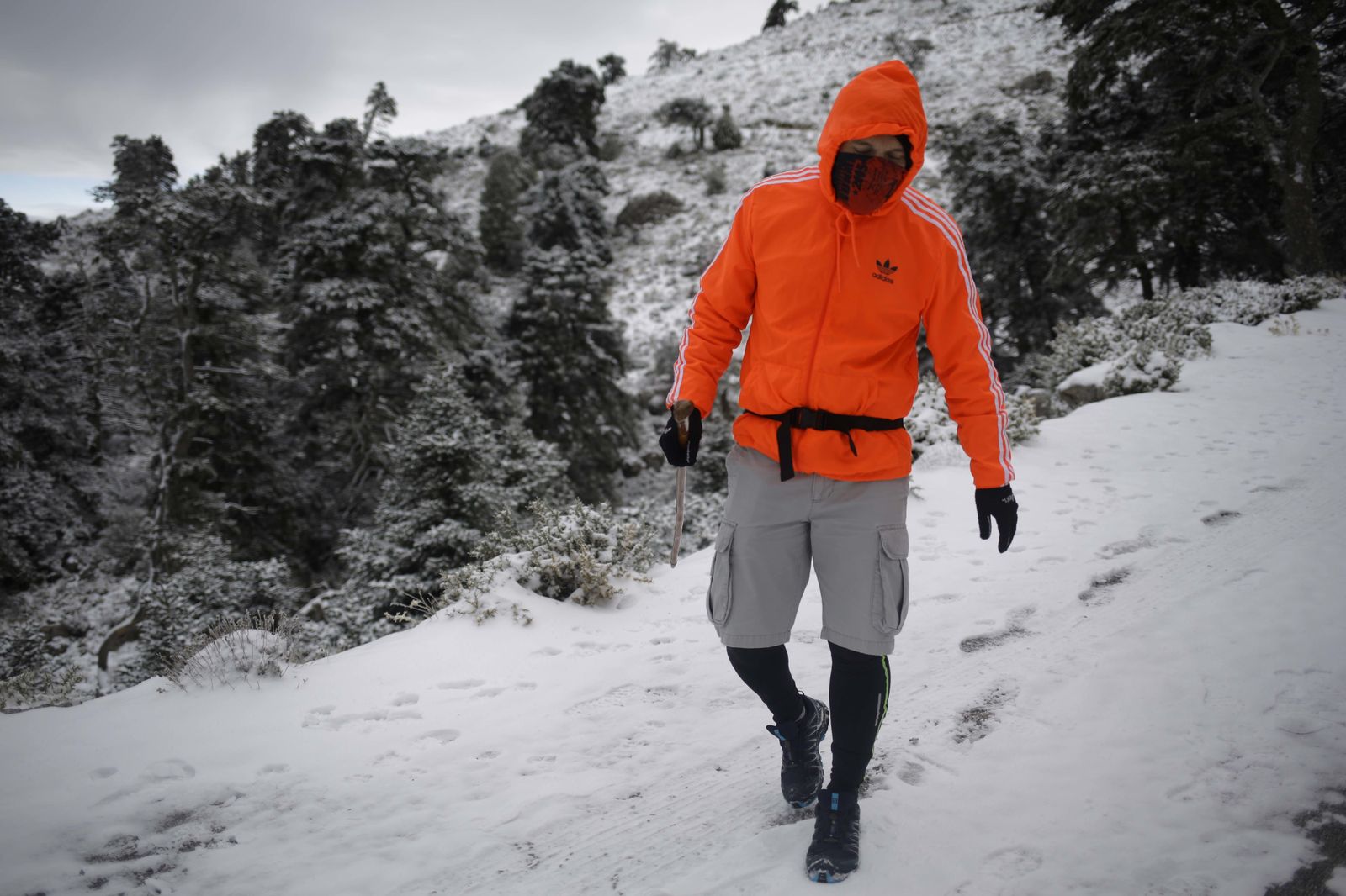 La excursiones a los parajes nevados de Málaga, en imágenes