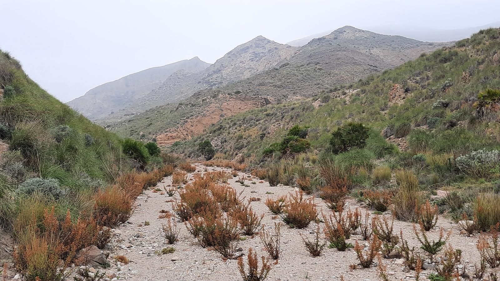 La Fiscalía denuncia vertidos en las ramblas Las Aguilas y Las Negras