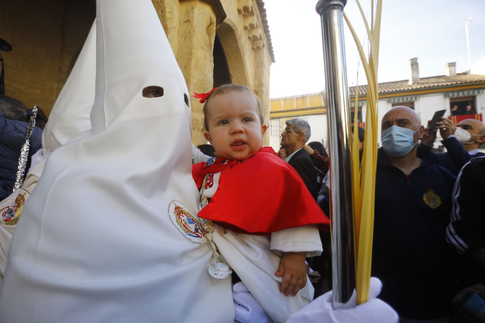 La procesión de la Entrada Triunfal del Domingo de Ramos en Córdoba, en imágenes
