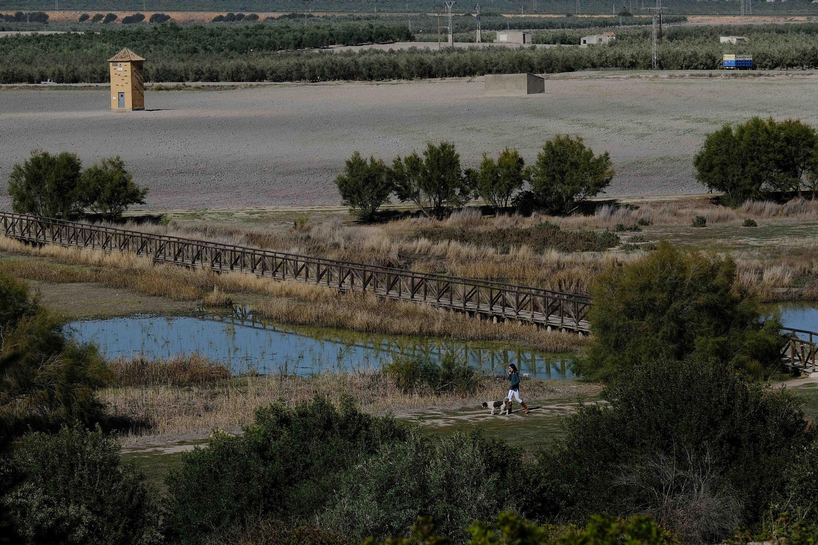 Laguna de Fuente de Piedra tras las lluvias, en fotos