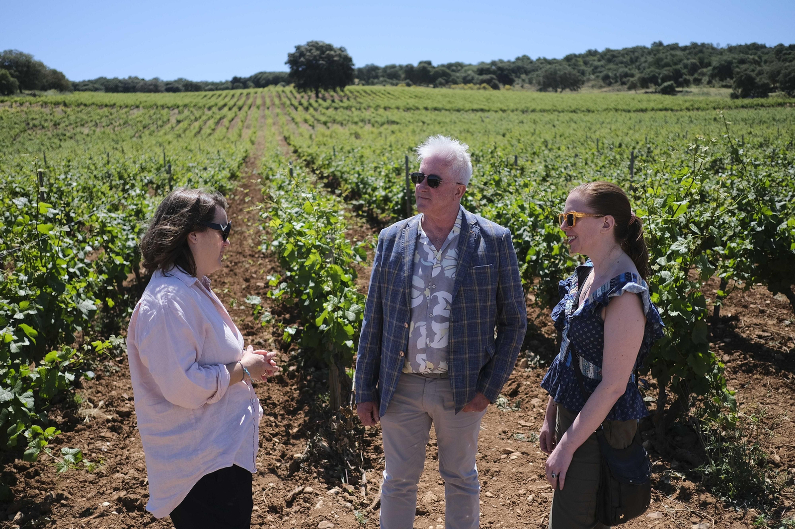 El regreso del turismo extranjero a las bodegas rondeñas, en fotos