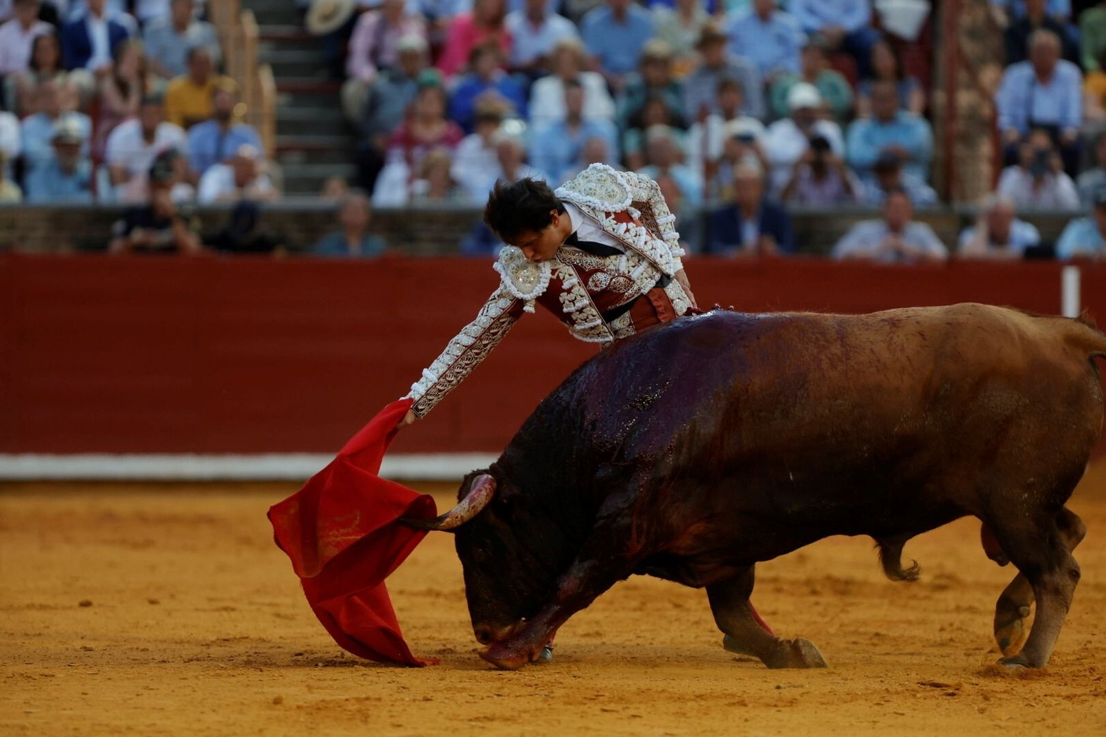 Las mejores fotos de la corrida de Morante, Ortega y Roca Rey en la Feria Taurina de Córdoba