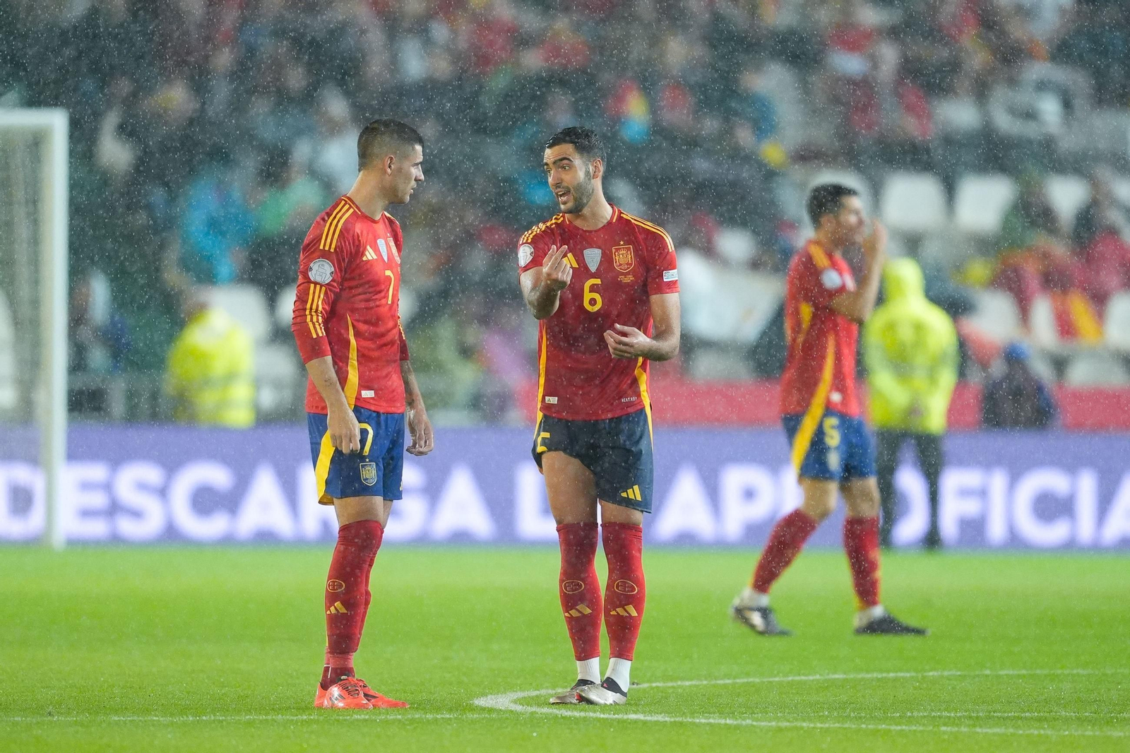 Las fotos del España - Serbia en Córdoba