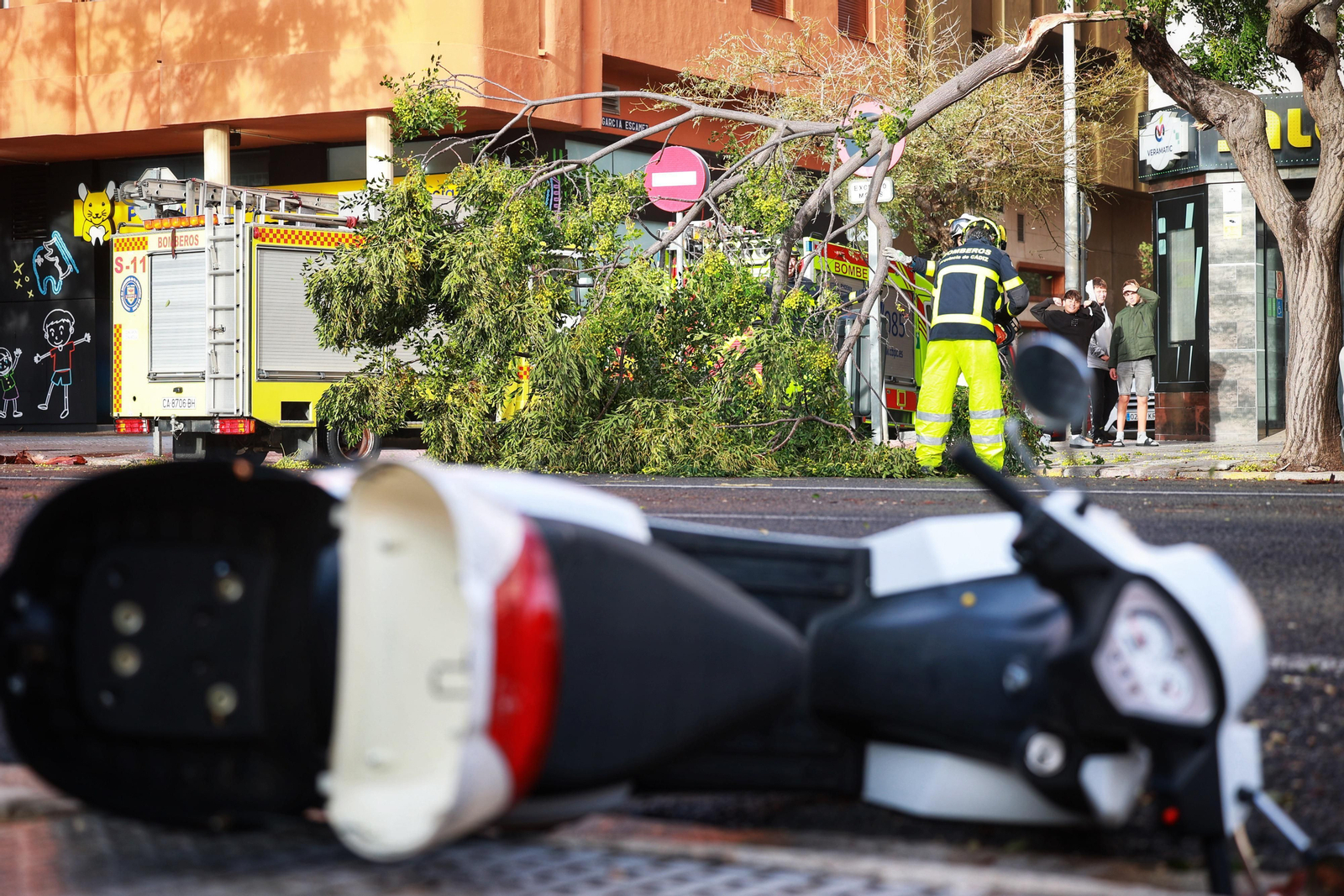 El temporal Bernard arrasa como un ciclón con la arboleda y mobiliario urbano de Cádiz