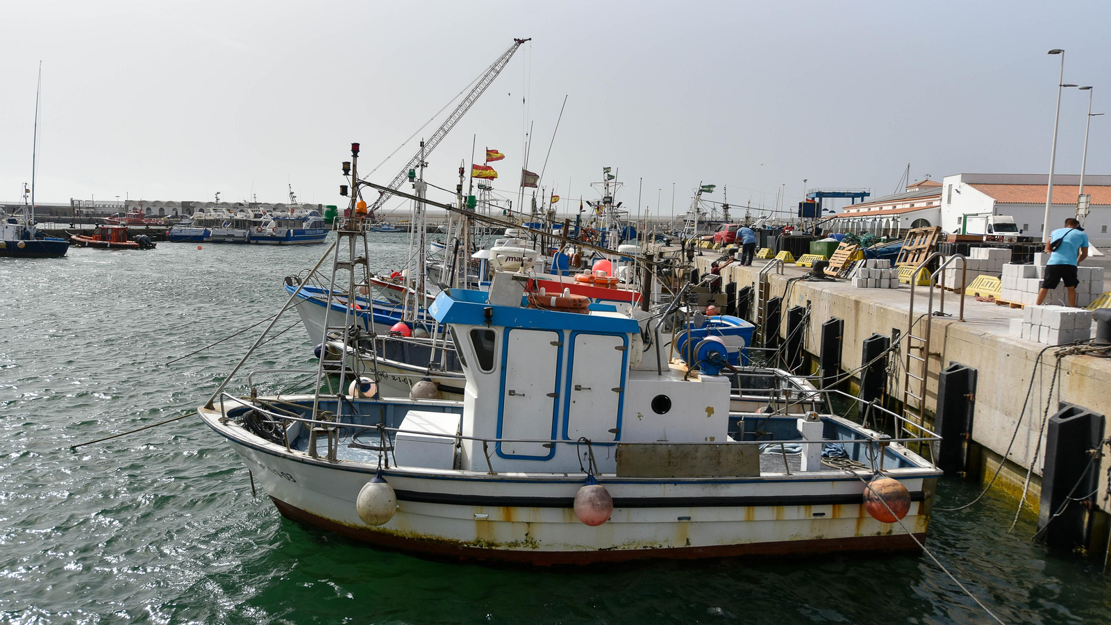 Las fotos del puerto pesquero de Tarifa