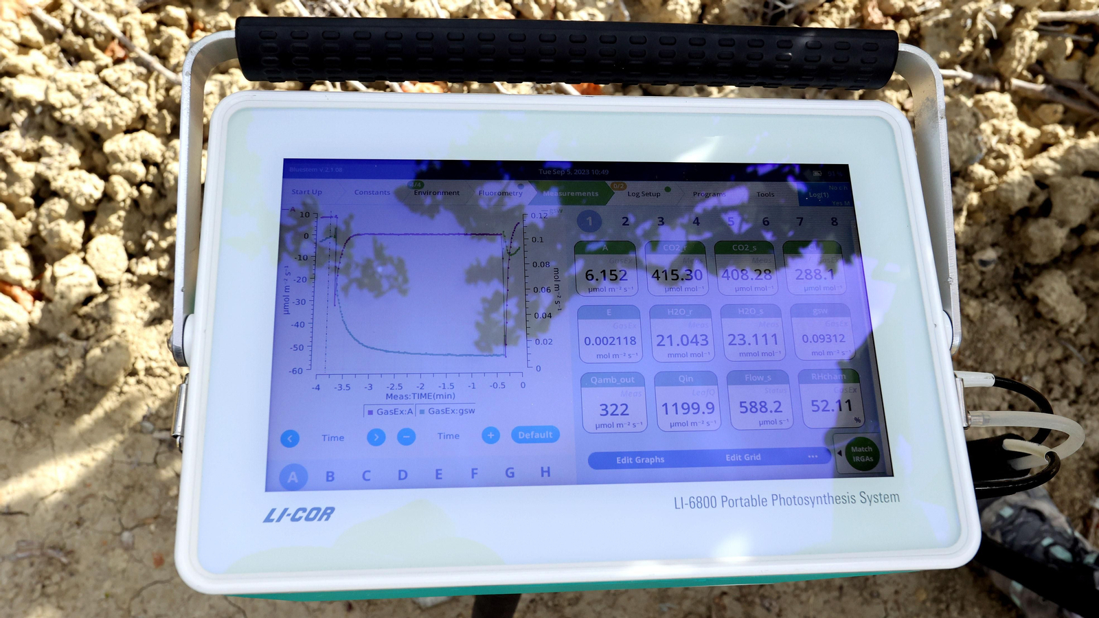 Vinos ecológicos con uva Pedro Ximénez