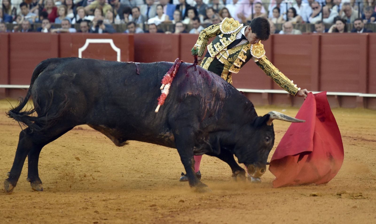 La 14ª de abono en la Real Maestranza de Sevilla, en imágenes