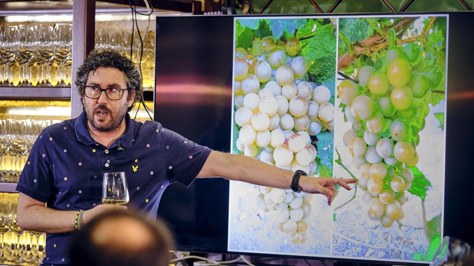 'El Faro de Cádiz y Territorio Albariza'